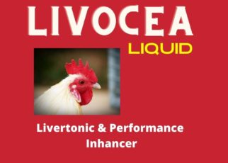 Livocea Liquid