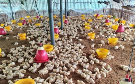 Poultry Farm