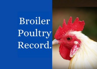 Poultry Record