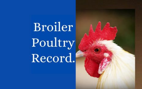 Poultry Record