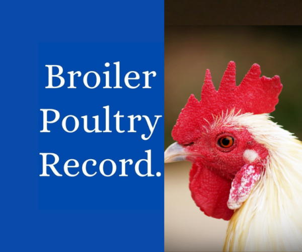 Poultry Record