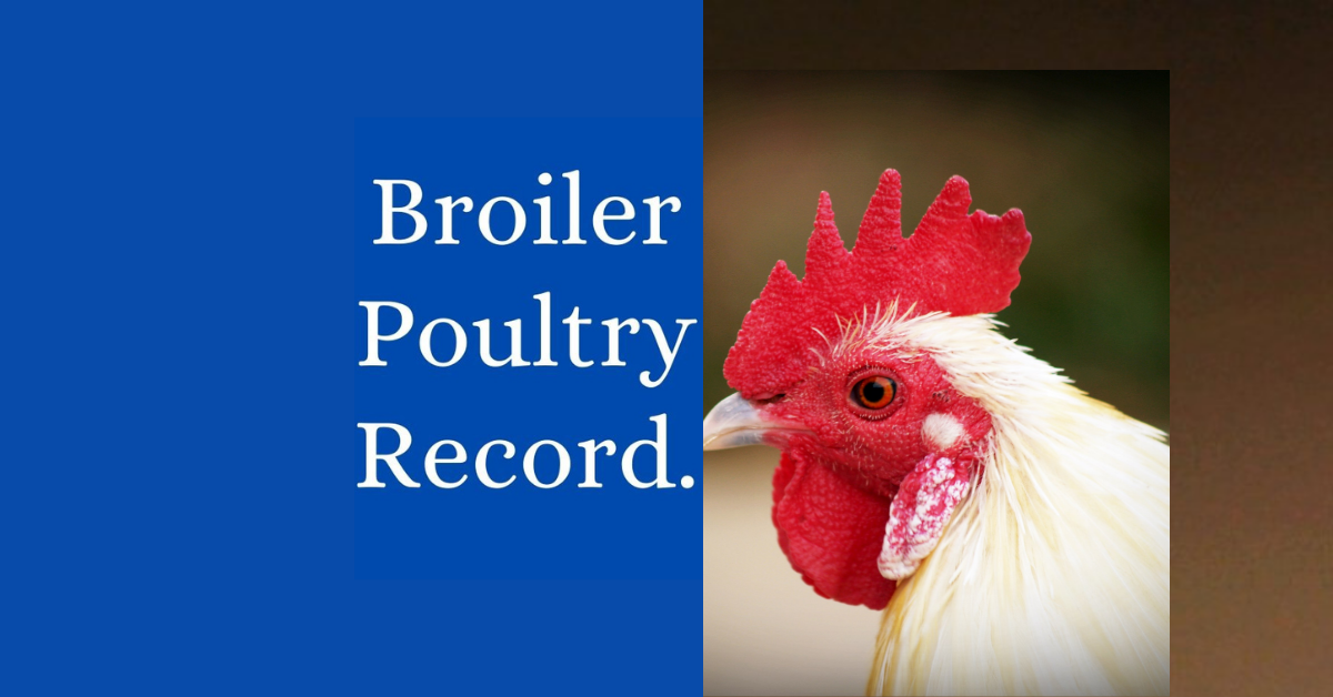 Poultry Record