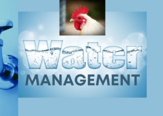 Water management In poultry