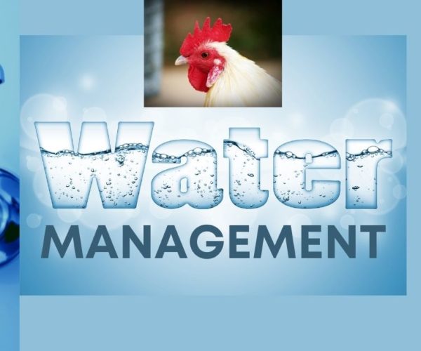 Water management In poultry