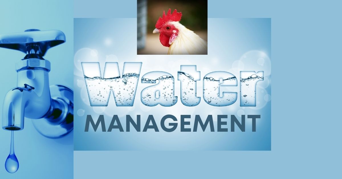 Water management In poultry