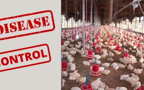 disease control tips in Poultry