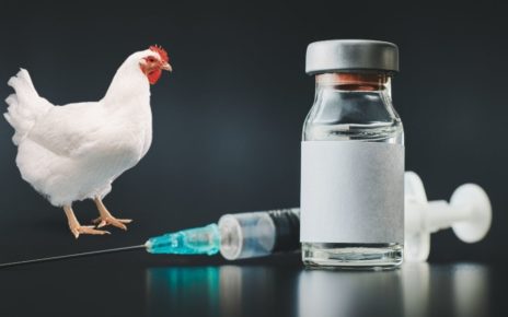 Vaccination for poultry