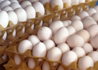 Egg storage Tips.