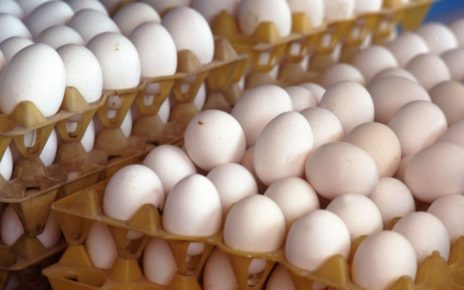 Egg storage Tips.