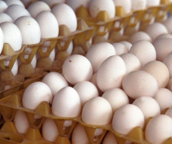 Egg storage Tips.