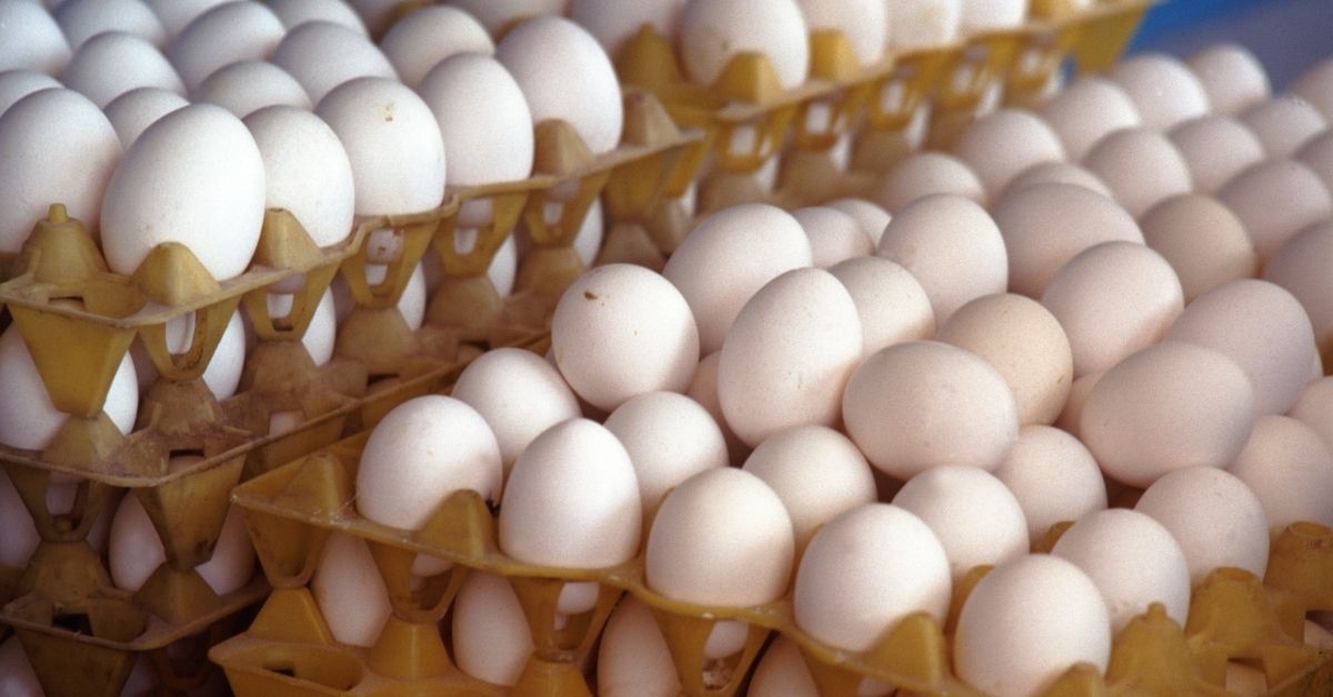 Egg storage Tips.