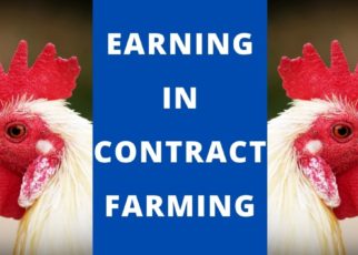 Contract farming.