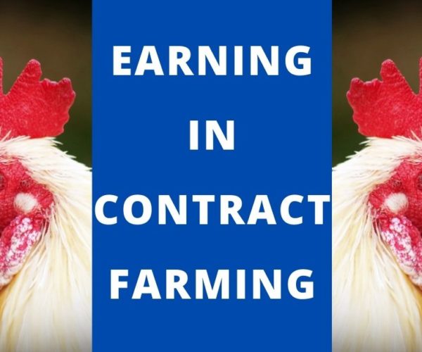 Contract farming.
