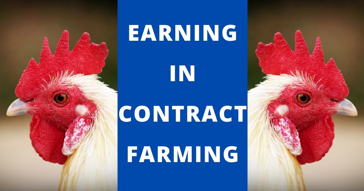 Contract farming.